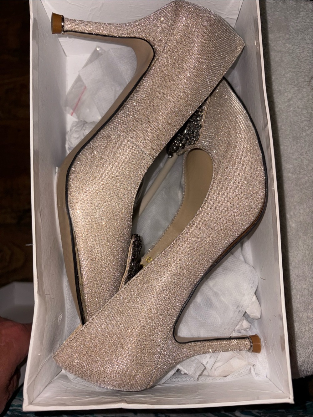 Manolo Blahnik Glitter Champagne Stiletto Pumps look new